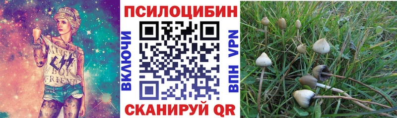 Галлюциногенные грибы Psilocybe наркотики Вуктыл